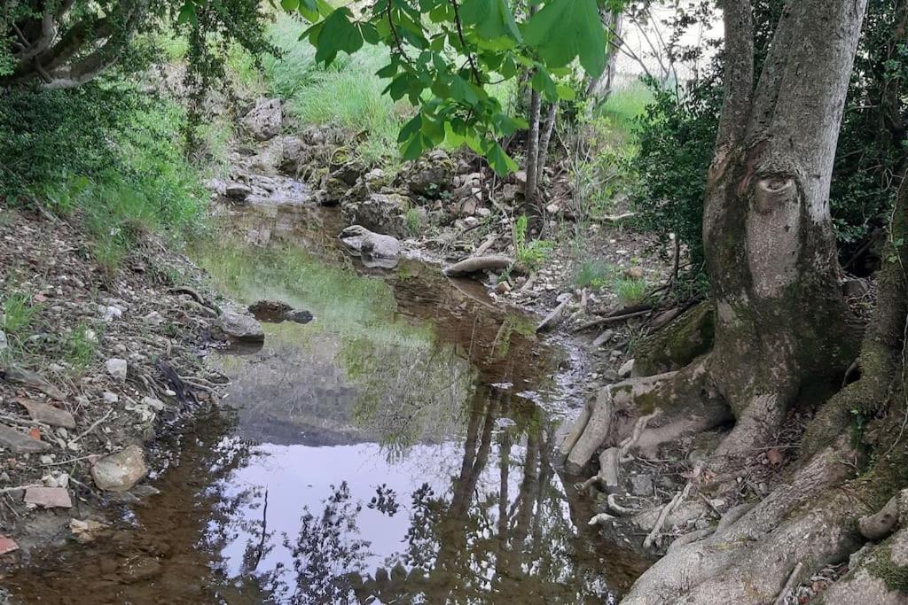 Studio Tout Confort Dans Maison De Caractere La Bastide  Екстериор снимка
